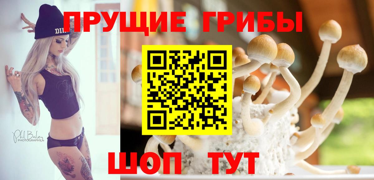 Галлюциногенные грибы Psilocybe Благовещенск